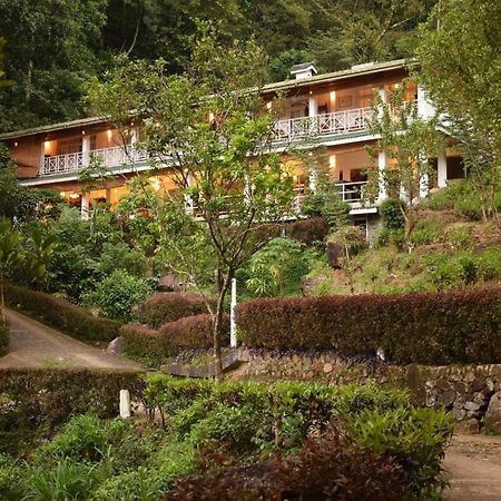 Forest Edge Hotel Ginigathena Exterior photo